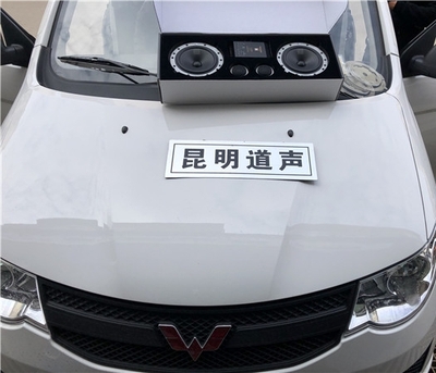 五菱荣光汽车音响改装丹拿236两分频喇叭——昆明道声汽车音响改装